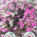 연호한의원 이미지