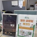 힐링캠프글램핑 | 12월 파주 동화힐링캠프 글램핑 트레일러 하우스 여자 셋 후기 | 불멍 추가