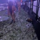 클럽마이애미 이미지