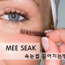 미색단장