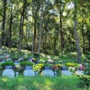 원진목장 이미지