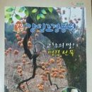 강림조경농원