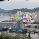 사철나무집 이미지