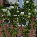 보물찬란하다