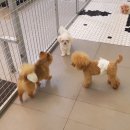 잇츠 소미 스타일 이미지