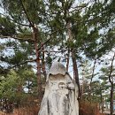 솔밭 이미지