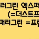 패러그린 이미지