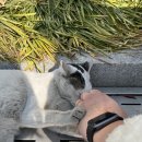 남산역(3호선) 이미지