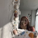 이성운수 이미지