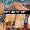 정동로L 네이버블로그