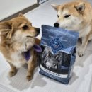 버팔로 | 강아지 사료 추천 블루버팔로 미국공장생산 프리미엄 사료 솔직 후기