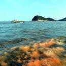 황토바다 이미지