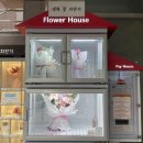 제피로스플라워 | 마포구청꽃집 당일 꽃다발 찾는다면｜24시간 꽃자판기 제피로스플라워 내돈내산