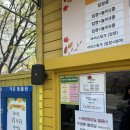 [대구/수성못] 아르떼 수성랜드_벚꽃뷰 하늘자전거 후기