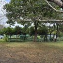 선촌(게이트볼장) 이미지