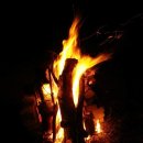 태산농장2 이미지