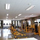 노익스큐즈 네이버블로그