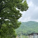 하루펜션 | 아산단체펜션 추천 그라시아펜션 넓고 깨끗하게 하루 머물고 온 후기