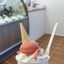홍대 젤라또 맛집:) 젤라떼리아 단, 사이 (내돈내산, 솔직후기)