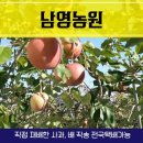 남영농장 이미지