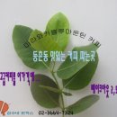 등촌1동 주민센타 이미지