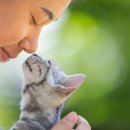 라파엘동물병원 이미지