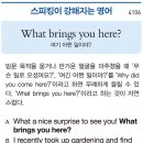 What brings you here? 이미지