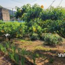 호야네농장 이미지