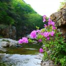 보개산장 이미지