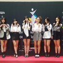 더샤샤 MK스포츠