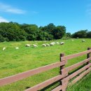 순환목장 이미지