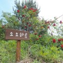 여주-0412 네이버블로그