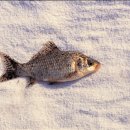 천산무관 이미지