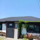 제주독채펜션돌집감성숙소돌담점 | 제주도 독채펜션 돌집감성숙소 돌담점 다녀온 후기