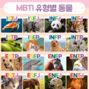 [MBTI 성격유형 검사] 16가지 유형별 직업과 대표 인물 이미지