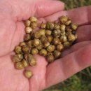 양구농장 이미지