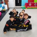 용인대 검무관 이미지