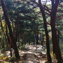 고구마책방 이미지