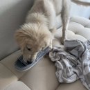 족발슈퍼(주문진점) | 속초 일상/ 퇴사 후 잠깐의 여유 -(1)