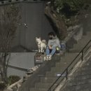 카카오 이미지