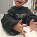 서초구립 롯데캐슬킨더어린이집 | 플레아띠 5세미술 6세미술 데칼코마니 표현기법 수업^^ 서초아동미술학원 서초유아미술학원