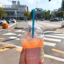 벌크커피메디컬