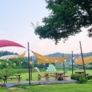 스카이농장 이미지