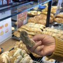 퐁듀베이커리 | 인천 남동구 베이커리 <퐁듀크라상>, 인천 빵지순례 맛집