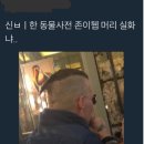 신비한 동물사전2 조니뎁 머리 이미지