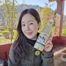 선우여행사 이미지