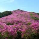 봉화산 철쭉산행(전북 남원) 이미지