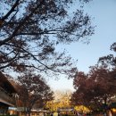 [용인] 한국민속촌 3살&amp;5살 형제랑 방문 후기