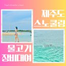 버스정류장 07-303 | 김녕해수욕장 수영 세기알해변 스노쿨링 제주도 동쪽 물고기 스팟 더 피크닉 장비대여 주차장 탈의실...