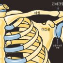 마디세움 정형외과의원 이미지